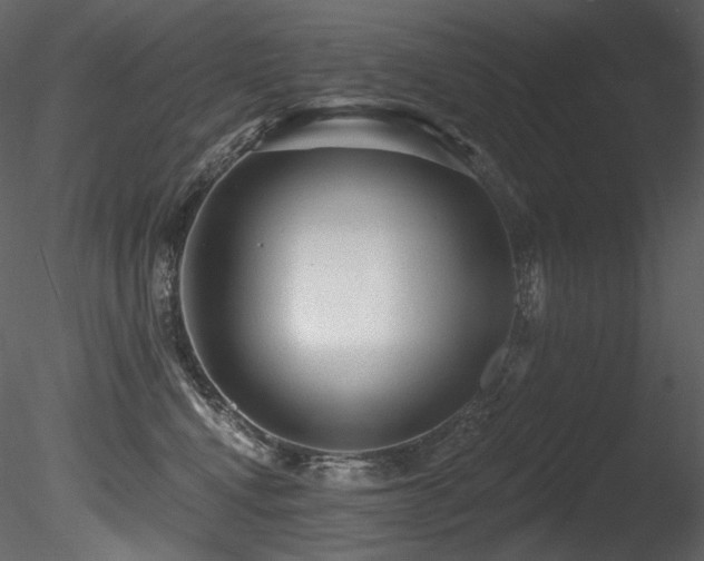 X0000085820472200703161227