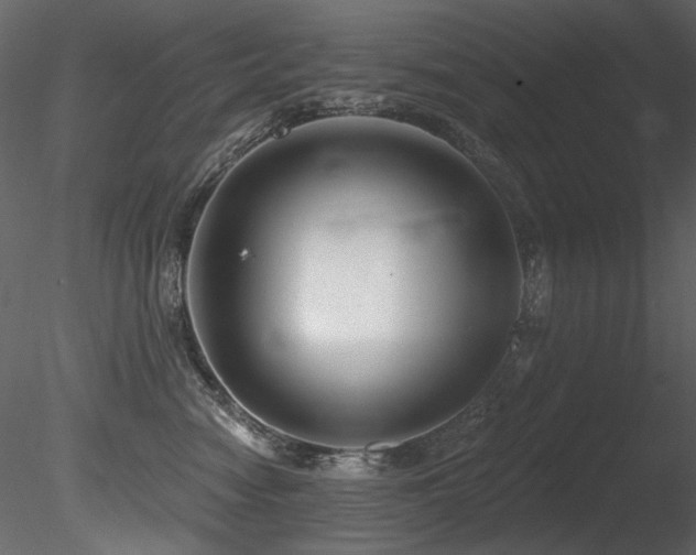X0000085820474200703161227