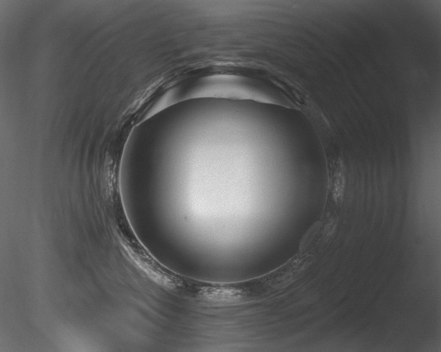 X0000085820476200703161227