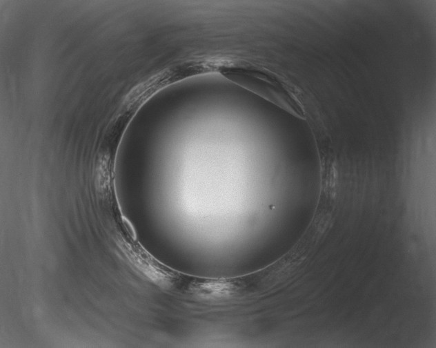X0000085820478200703161227