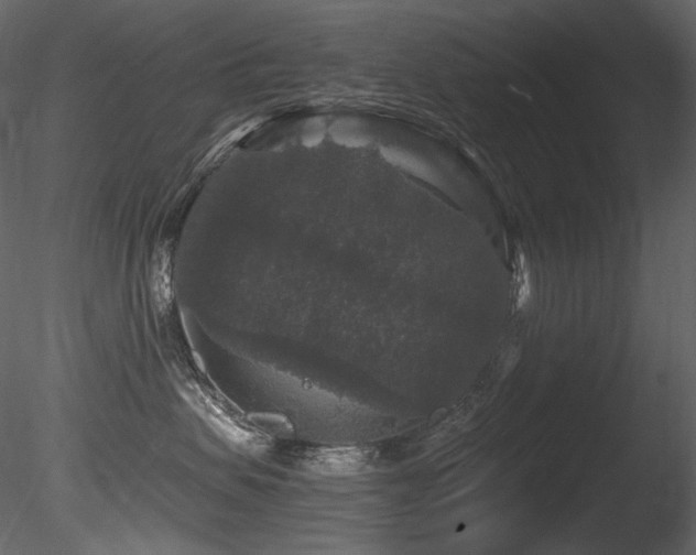 X0000085820479200703161227