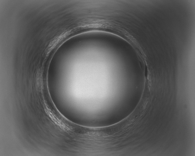 X0000085820482200703161227