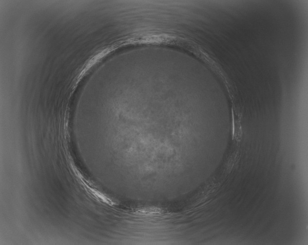 X0000085820483200703161227