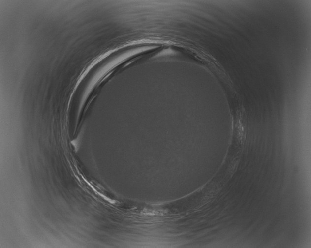 X0000085820484200703161227