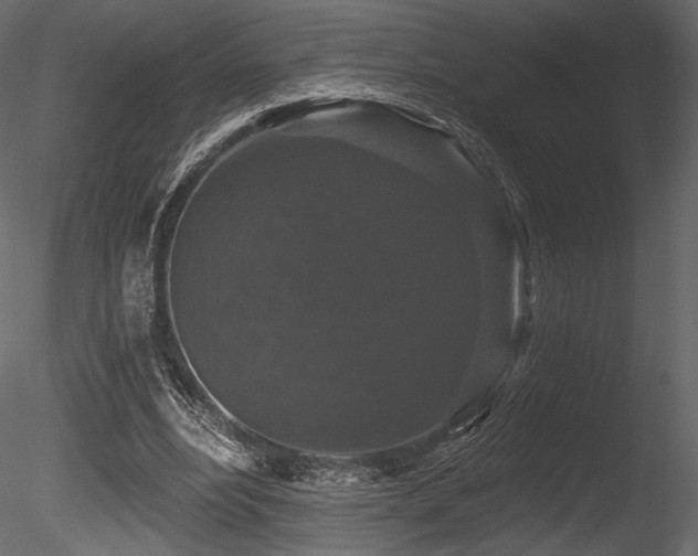 X0000085820488200703161226