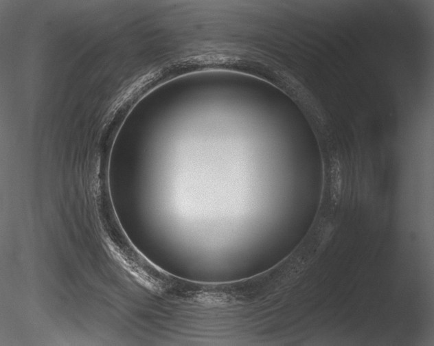 X0000085820490200703161226