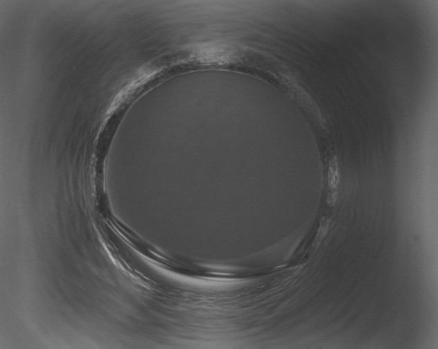 X0000085820492200703161226