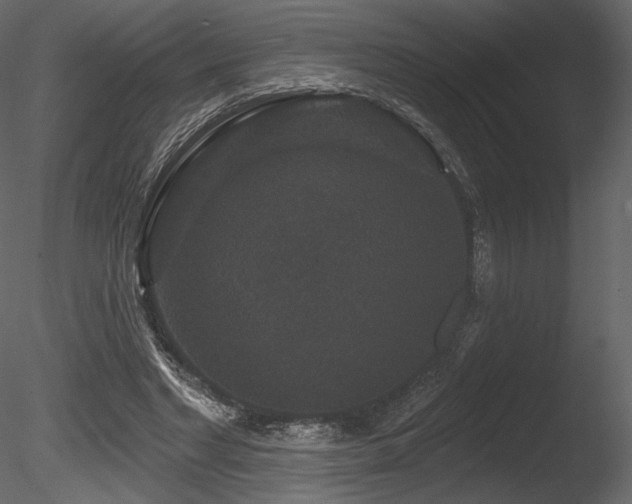 X0000085820493200703161226