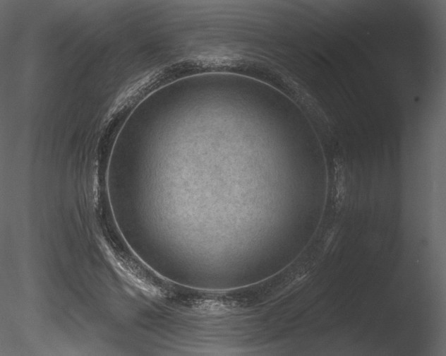 X0000085820494200703161226