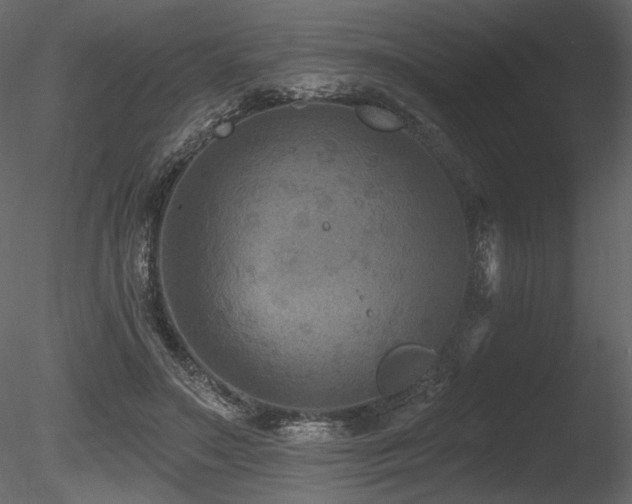 X0000085820499200703161226