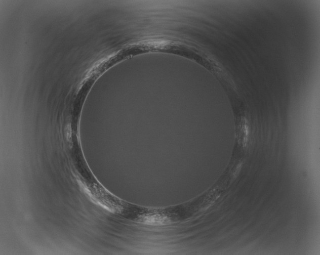 X0000085820500200703161226