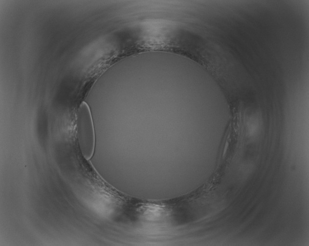 X0000085820507200703161226