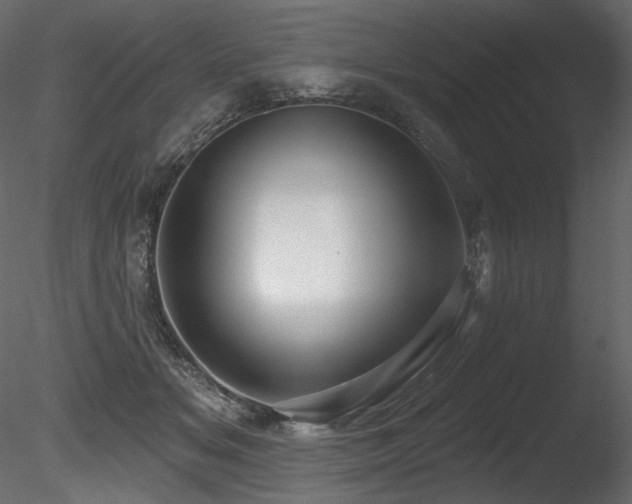 X0000085820509200703161226