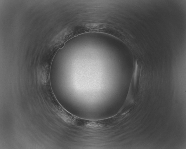 X0000085820515200703161226