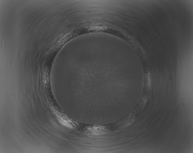 X0000085820517200703161226