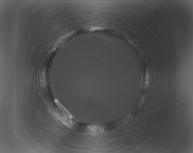 X0000085820520200703161226