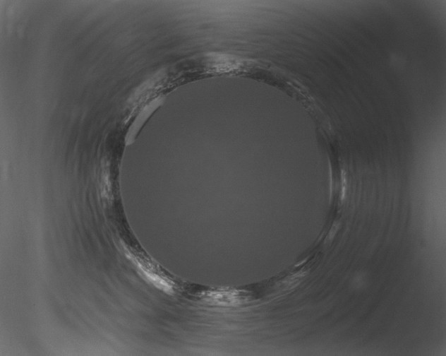 X0000085820524200703161226