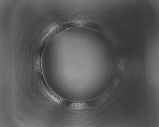 X0000085820526200703161226