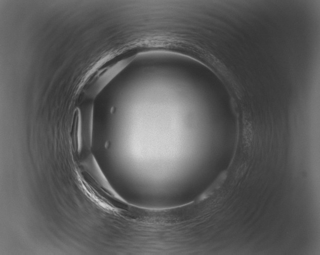 X0000085820530200703161225