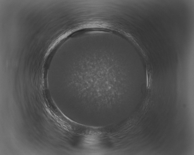 X0000085820531200703161225