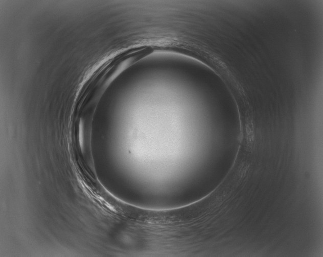 X0000085820532200703161225