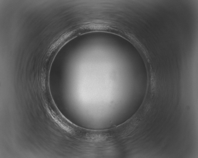 X0000085820533200703161225
