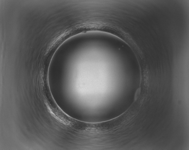 X0000085820538200703161225