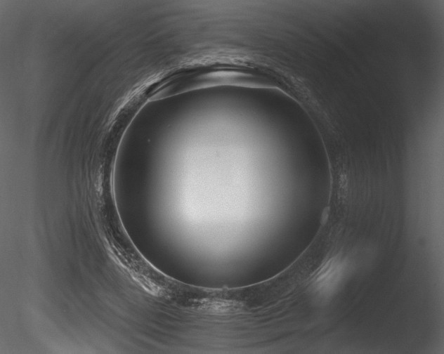 X0000085820539200703161225