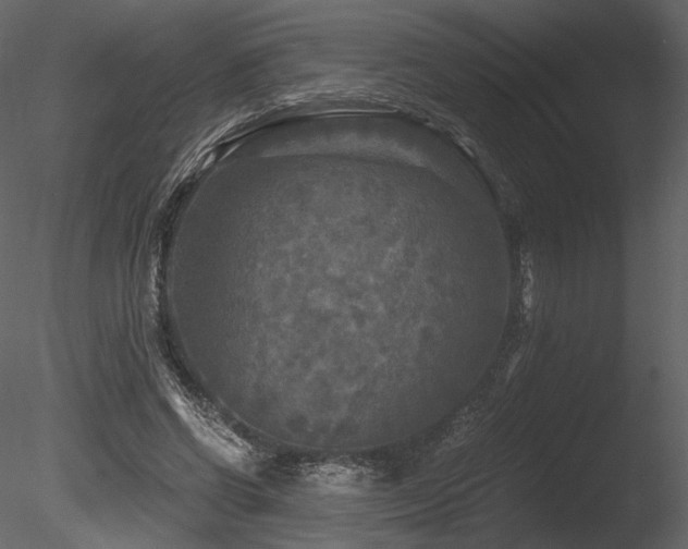 X0000085820542200703161225
