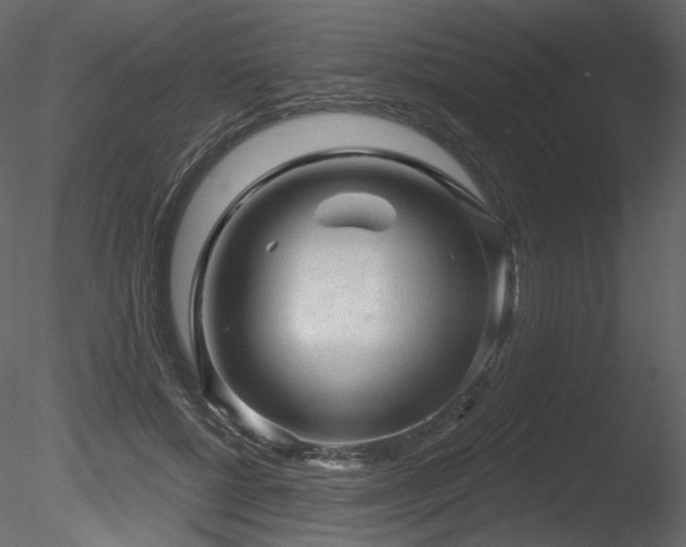 X0000085820552200703161225