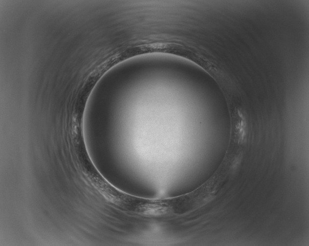 X0000085820555200703161225