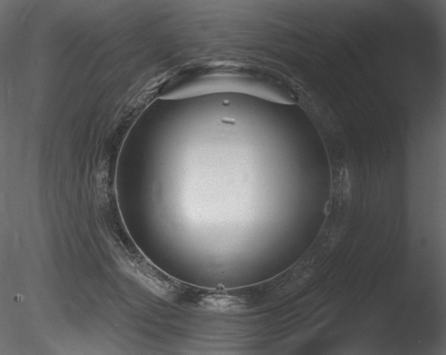 X0000085820557200703161225