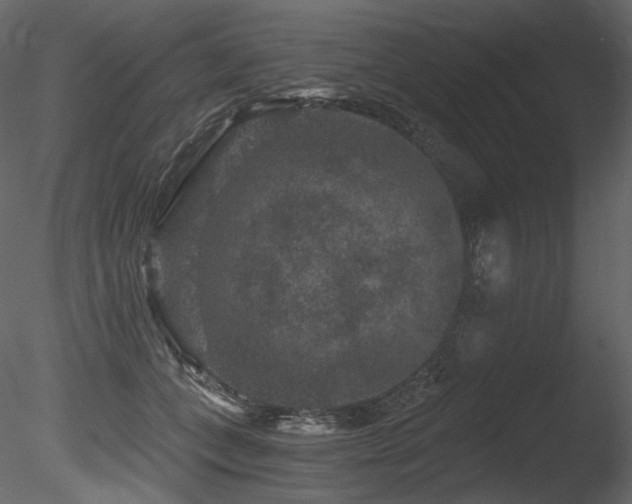 X0000085820559200703161225