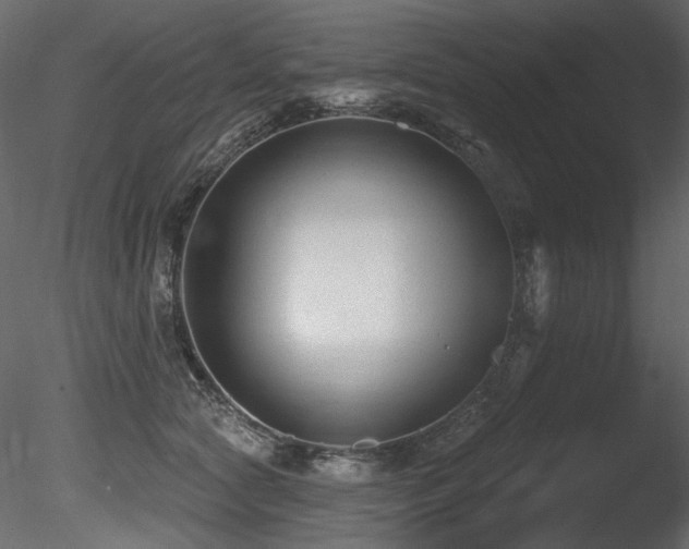 X0000085820561200703161226
