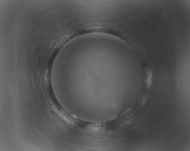 X0000085820563200703161226