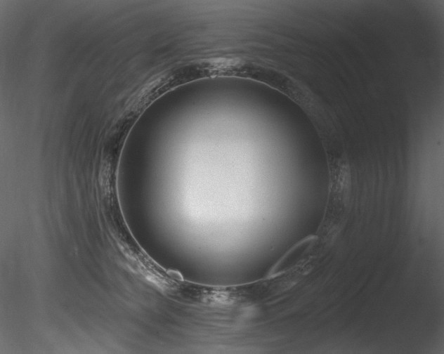 X0000085820565200703161226