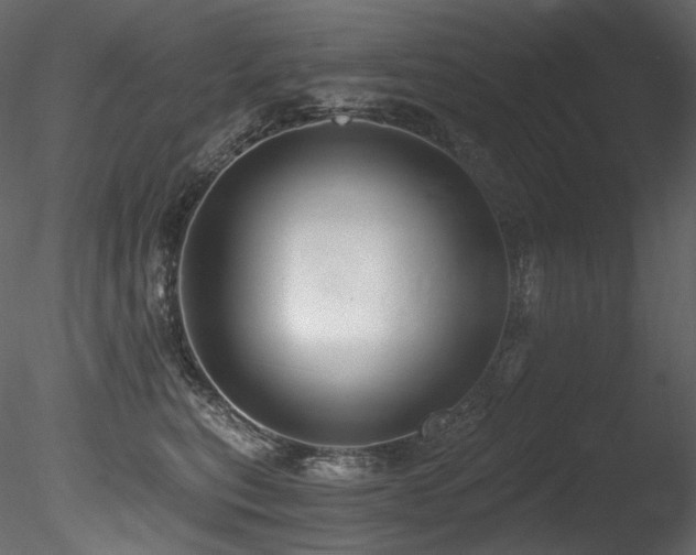 X0000085820567200703161226