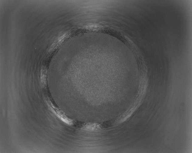 X0000085820576200703161226