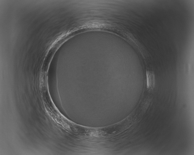 X0000085820579200703161225
