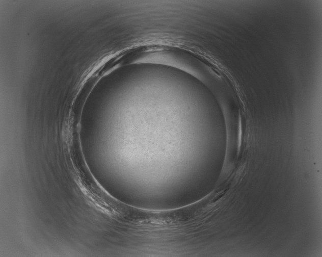 X0000085820580200703161225