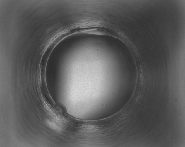 X0000085820582200703161225