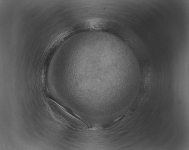 X0000085820595200703161225