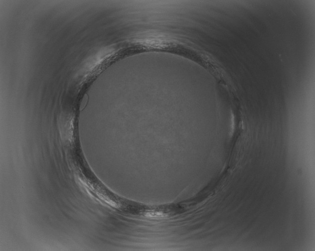 X0000085820596200703161225