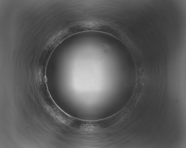 X0000085820597200703161225