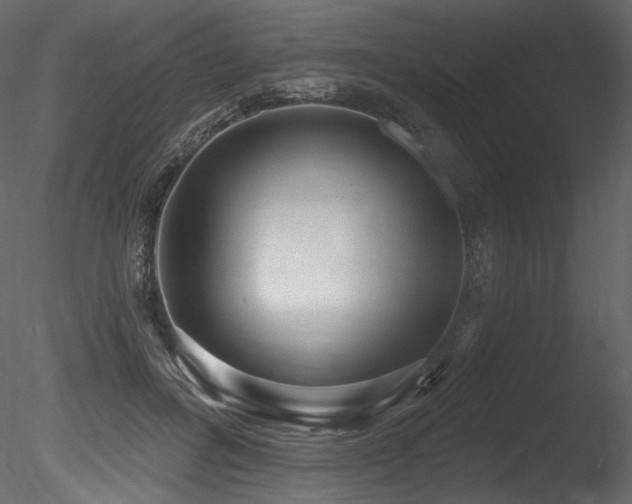 X0000085820600200703161225