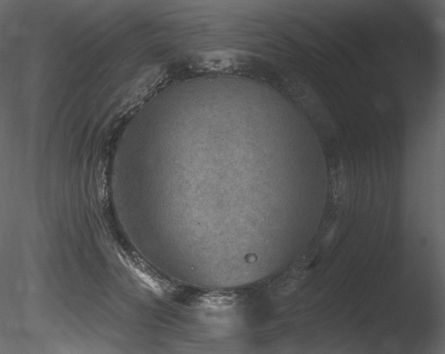 X0000085820606200703161224