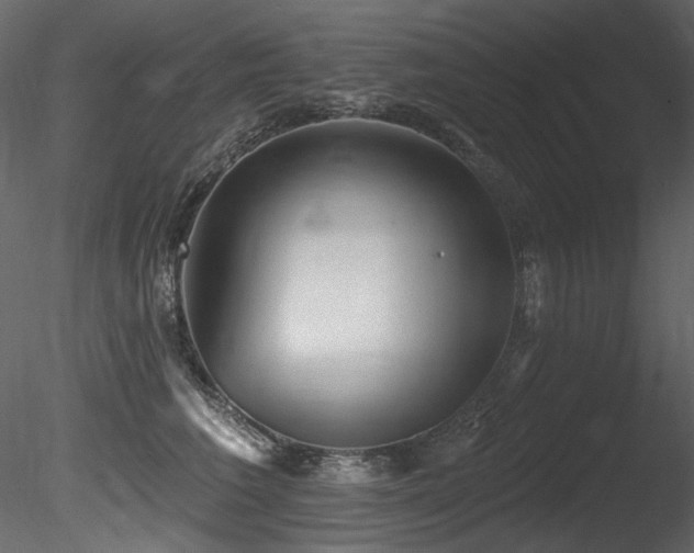 X0000085820613200703161224