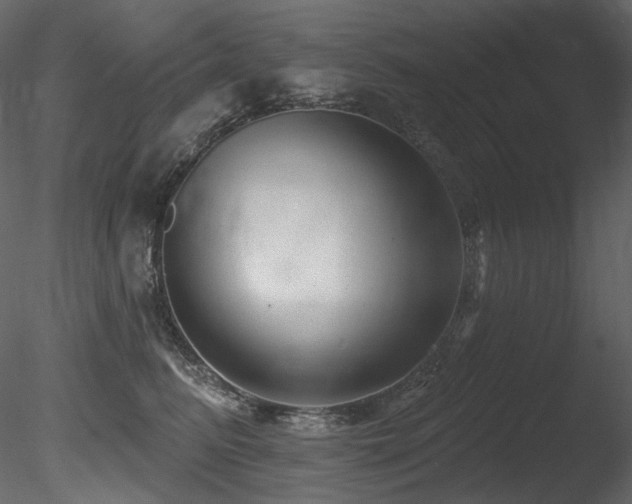 X0000085820615200703161224