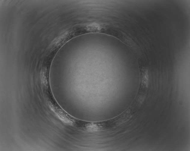 X0000085820616200703161224