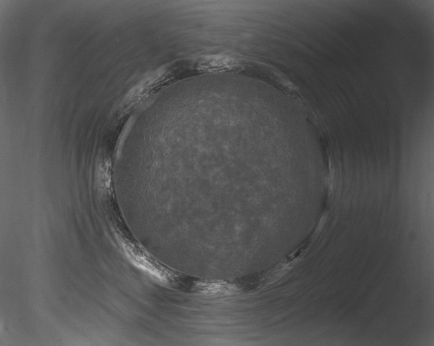 X0000085820621200703161224
